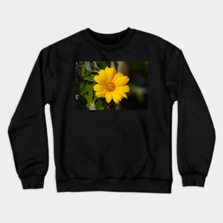 Narrowleaf Sunflower Crewneck Sweatshirt